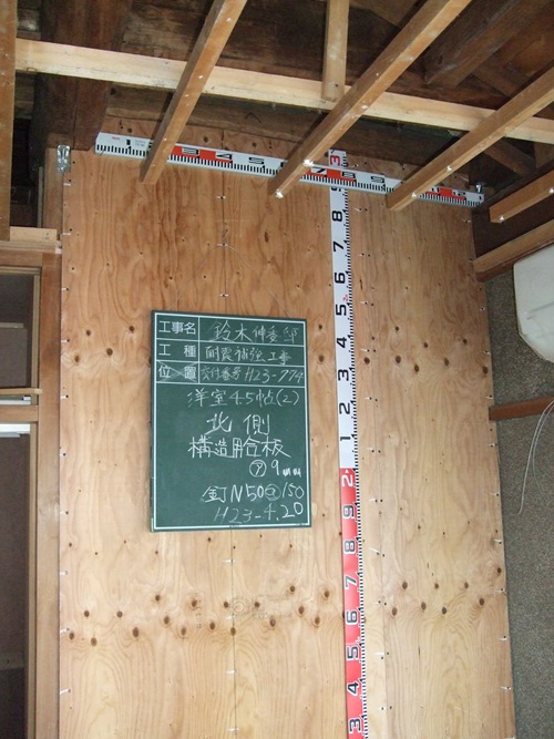 アコーディオン (12)