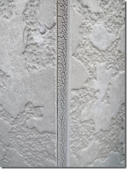 外装塗装工事 (77)