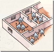 nunokiso sikke illust