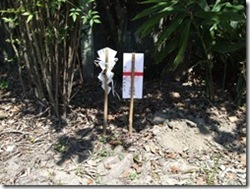 地鎮祭 (29)_thumb
