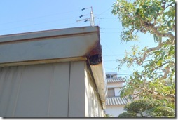 小屋リフォーム (5)