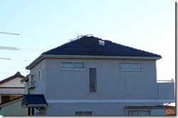 036_thumb